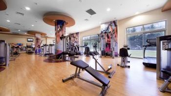 Spor