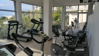 Spor