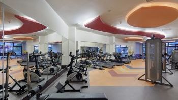 Spor