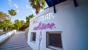 Barlar