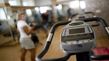 Spor