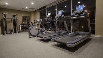 Spor