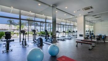 Spor